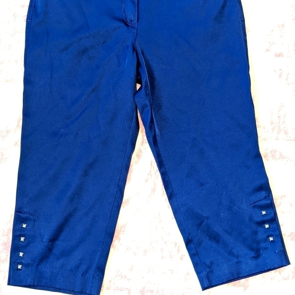 Sleek Blue Silky Capris with Silver Accents